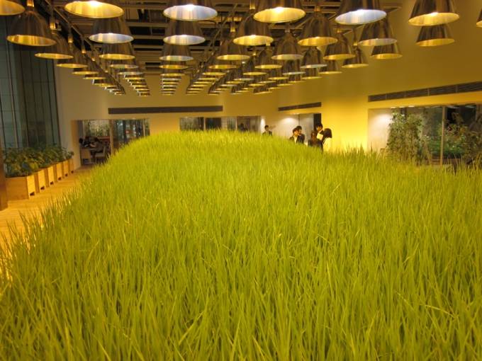 Một “cánh đồng” lúa bát ngát nằm ở sảnh lớn.