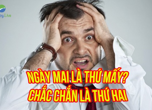 Người thành công làm gì vào tối chủ nhật