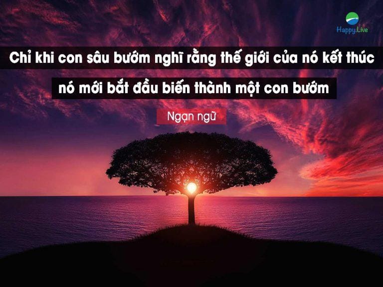 8 câu nói TẠO ĐỘNG LỰC giúp bạn THÀNH CÔNG