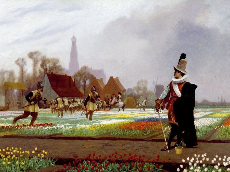 bong bóng hoa tulip, thương vụ để đời