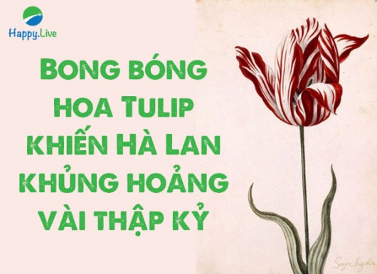 Bong bóng hoa Tulip khiến Hà Lan khủng hoảng vài thập kỷ