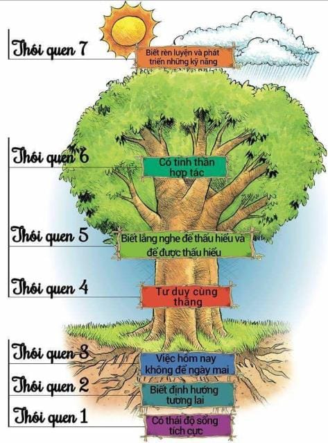 7 thói quen này cũng tựa như một cái cây. Càng lên cao càng khó rèn luyện.