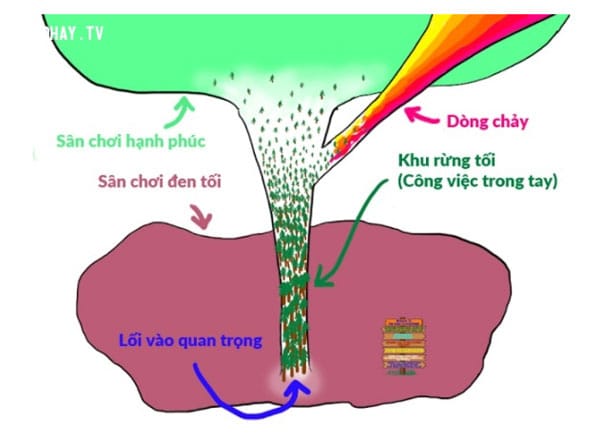 Tổng quan sơ đồ trí não.