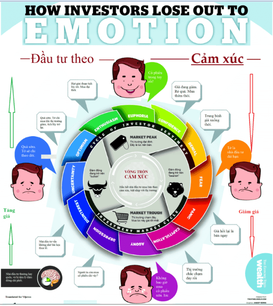 Vòng tròn cảm xúc trong đầu tư.