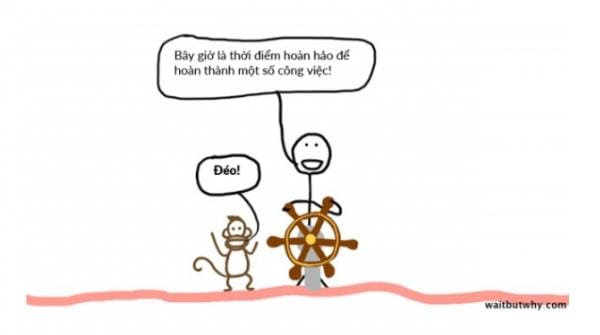 Con khỉ thoả mãn tức thì mất hết!