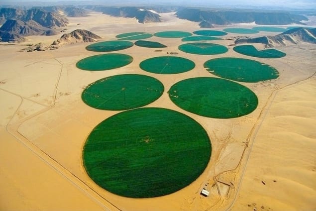 Các cánh đồng và nông trại của nông dân Do Thái ở Israel giống như những ốc đảo trên hoang mạc khô cằn.