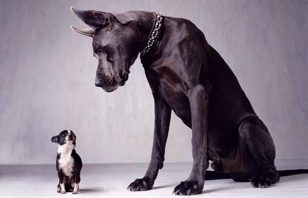 quy mô và vị thế giao dịch
