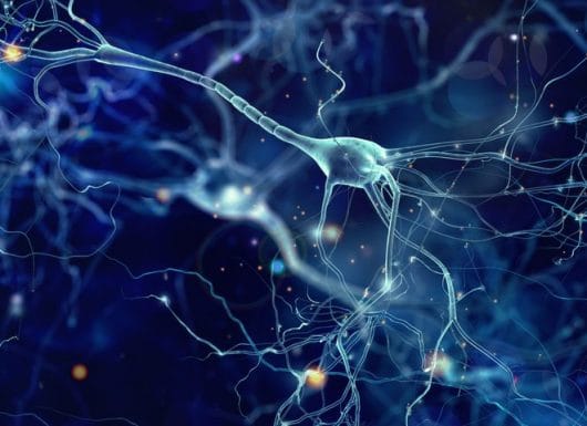 TÂM LÝ HỌC TIẾT KIỆM: Tại sao con người đưa ra quyết định sai lầm về tiền bạc?
