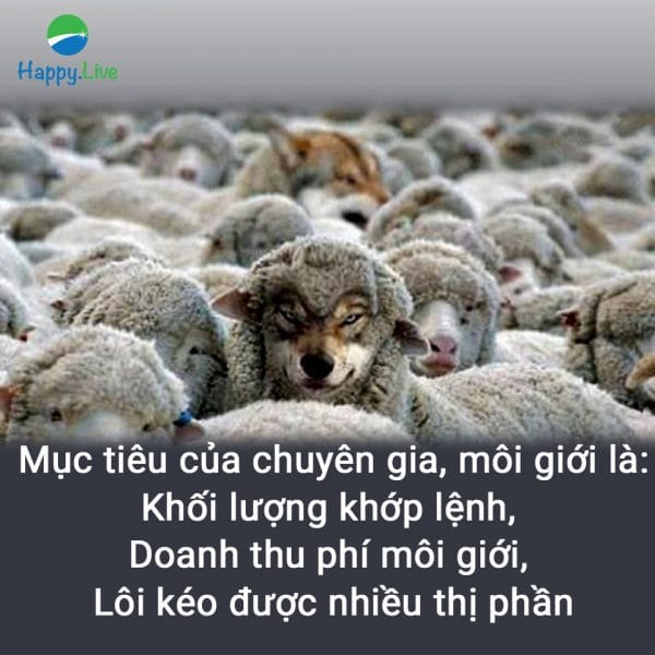 Bắt bài mô giới chứng khoán