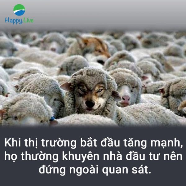 Bắt bài mô giới chứng khoán