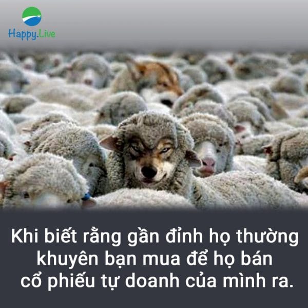 Bắt bài mô giới chứng khoán