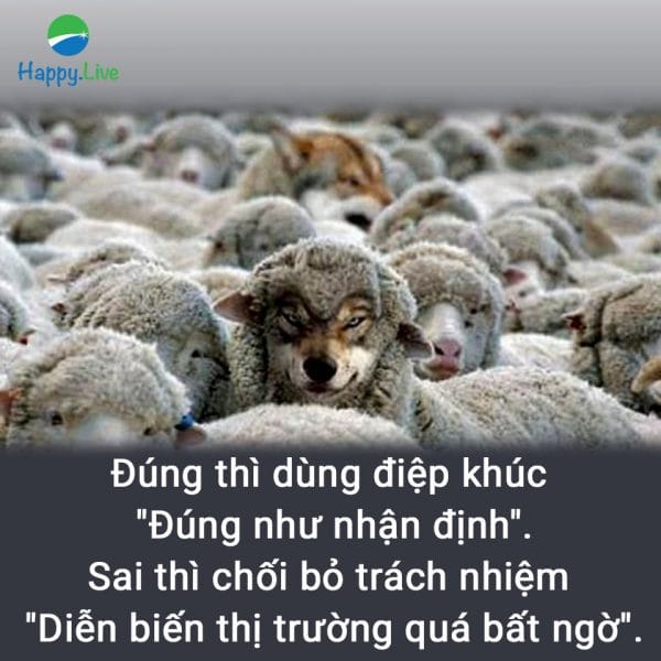Bắt bài mô giới chứng khoán