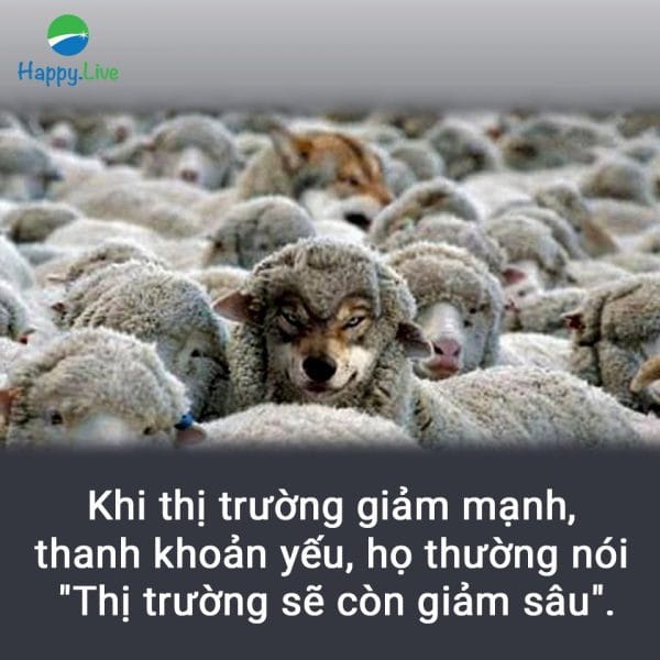 Bắt bài mô giới chứng khoán