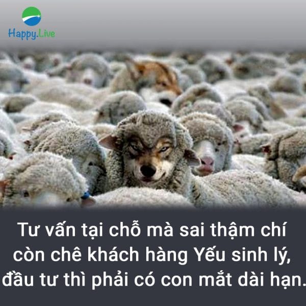 Bắt bài mô giới chứng khoán