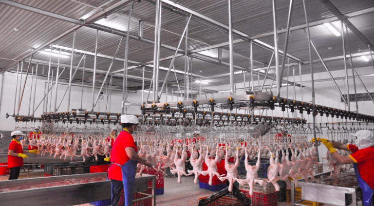 Mục tiêu của doanh nghiệp Việt chuyên về trứng trong thương vụ này là nhằm đưa thương hiệu Ba Huân vươn tầm quốc tế.