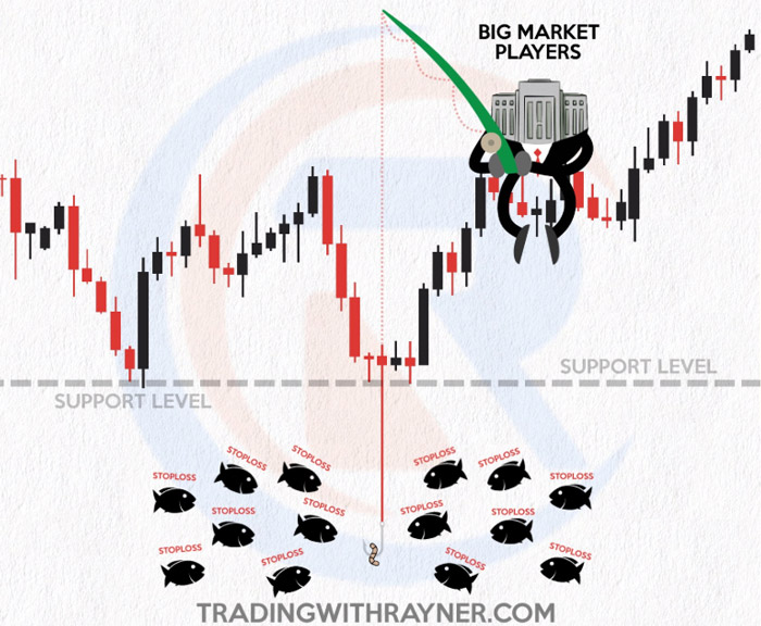 Các trader bị “cá mập” săn stoploss như thế nào