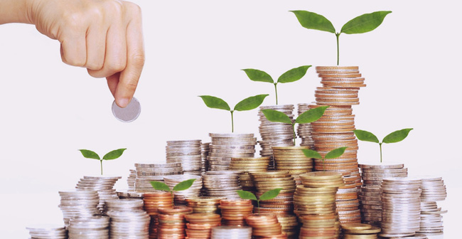 Làm cho tiền nhàn rỗi sinh sôi nảy nở