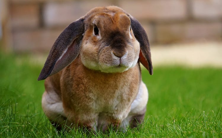 8 câu chuyện ngắn có thể giúp thay đổi cuộc đời bạn theo hướng tích cực