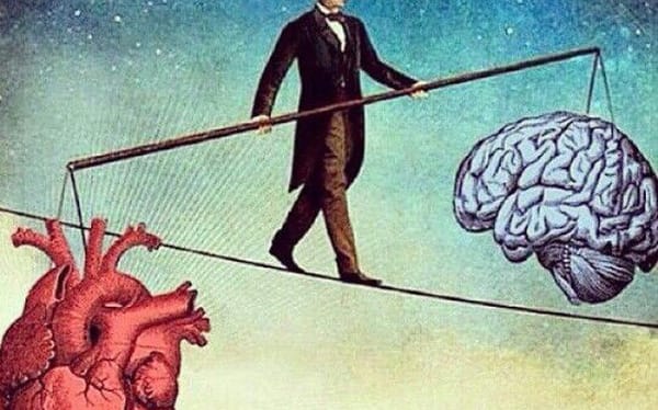 Cảm xúc và lý trí