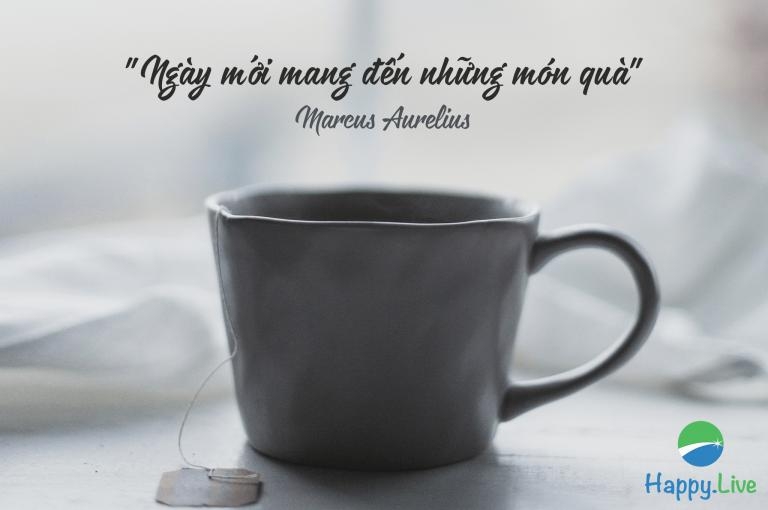 16 câu nói dẫn lối thành công