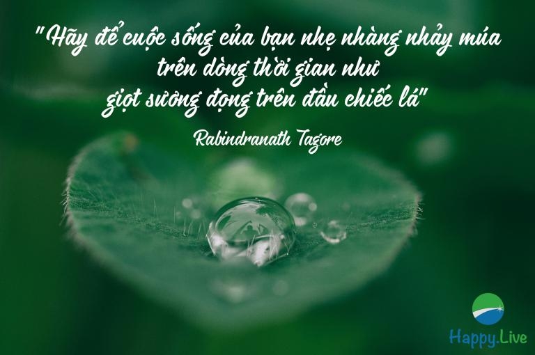 16 câu nói dẫn lối thành công