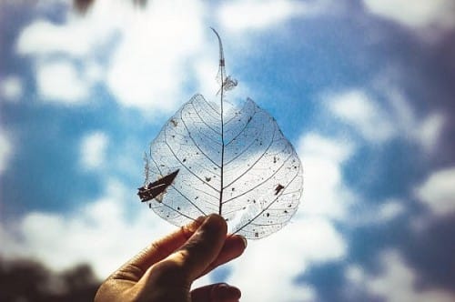 Hành trang đời người: Điều gì cần tích lũy, điều gì cần buông?