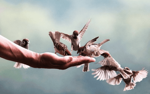 Hành trang đời người: Điều gì cần tích lũy, điều gì cần buông?