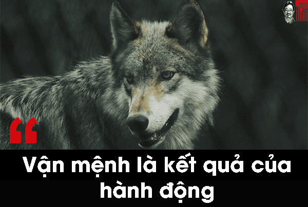 Vận mệnh là kết quả của hành động Vận mệnh là kết quả của hành động