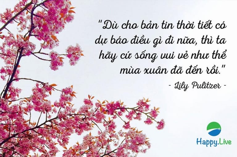 20 câu danh ngôn tuyệt vời mà người trẻ nào cũng nên ghi nhớ