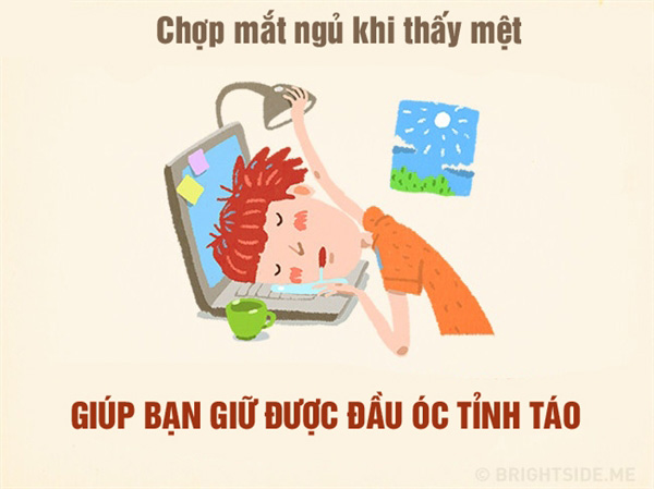 Ngủ trưa