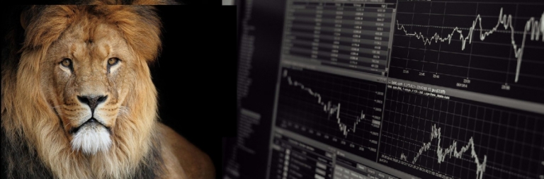 sư tử dạy trading