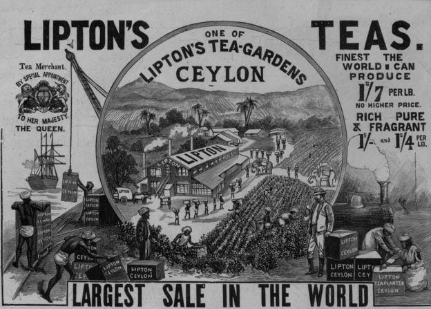Câu chuyện về Thomas Lipton, người sáng lập thương hiệu trà danh tiếng