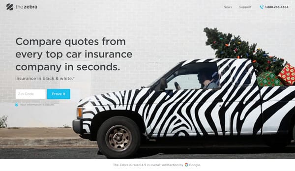 The Zebra