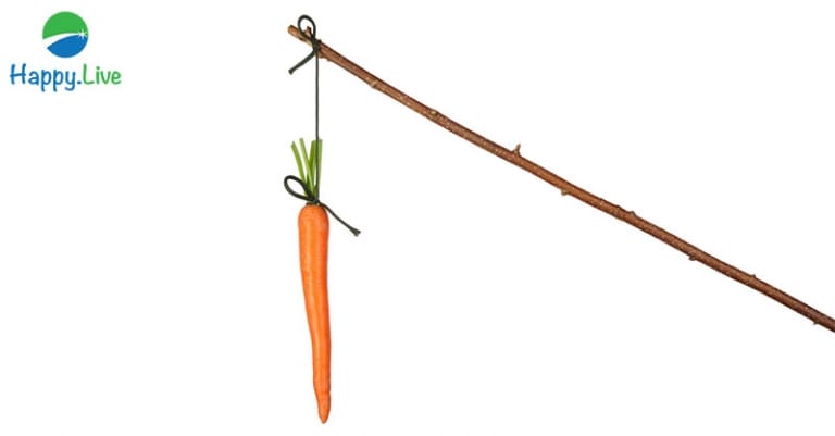 Cây gậy và củ cà rốt