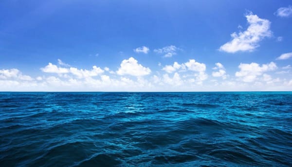 Mặt biển cũng luôn luôn biến động với những gợn sóng nhấp nhô chuyển động cùng chiều, ngược chiều hoặc chuyển động ngang so với hướng của những con sóng lớn