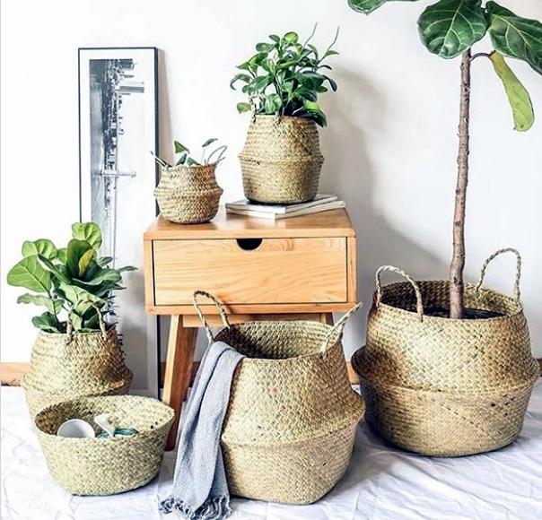 Charlie mở rộng việc kinh doanh của mình bằng cách bán quần áo trẻ em