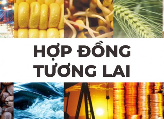 Giải thích Hợp đồng tương lai | Futures Contract