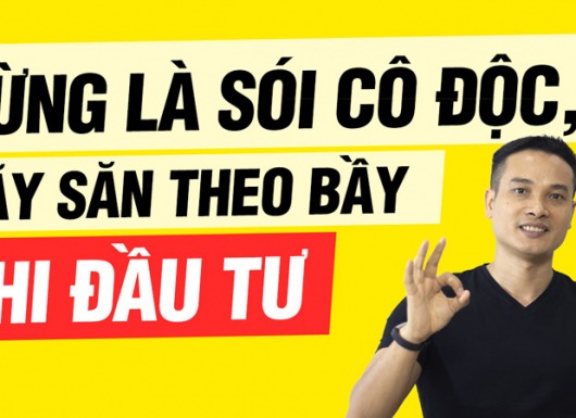 Đừng là sói cô độc, hãy săn theo bầy khi đầu tư