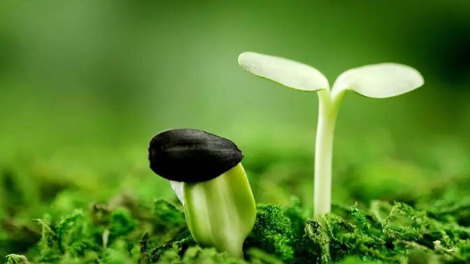 Muốn thành công như Bill Gates, Warren Buffett hay Jack Ma, bất kỳ ai cũng không thể không tuân theo 4 quy luật trường tồn sau