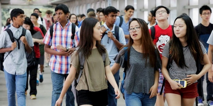 tất cả bạn bè châu Á của tôi đều theo học các ngành Khoa học – Tự nhiên (STEM). Thường là kỹ sư, bác sĩ, dược sĩ, hoặc lập trình viên. Tất cả các ngành học đó đều có thu nhập cao. 