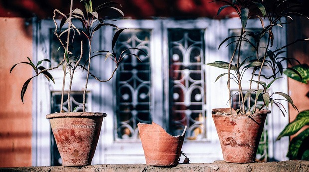 Triết lý Wabi sabi của người Nhật