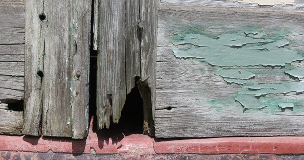 Triết lý Wabi sabi của người Nhật