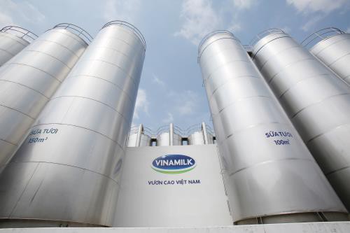 Vinamilk lọt Top 200 công ty có doanh thu trên 1 tỷ USD tốt nhất châu Á-Thái Bình Dương