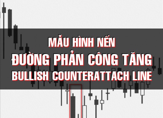 CHỨNG KHOÁN ABC: Mẫu hình nến đường phản công tăng (Bullish counterattach line)