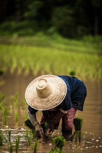 4 quy luật thành công người giàu luôn ghi nhớ 
