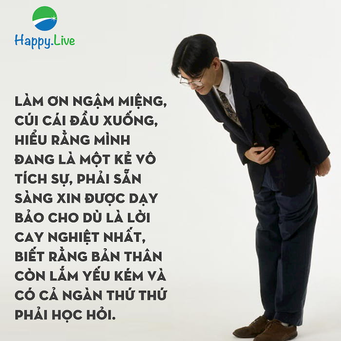 Viết cho mấy thanh niên mới ra trường - cúi đầu xuống học hỏi đi đừng chảnh