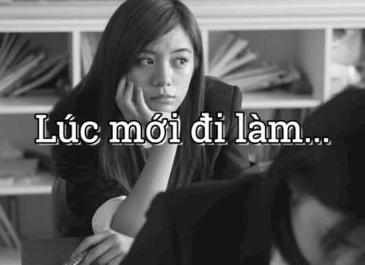 Viết cho mấy thanh niên mới ra trường - cúi đầu xuống học hỏi đi đừng chảnh