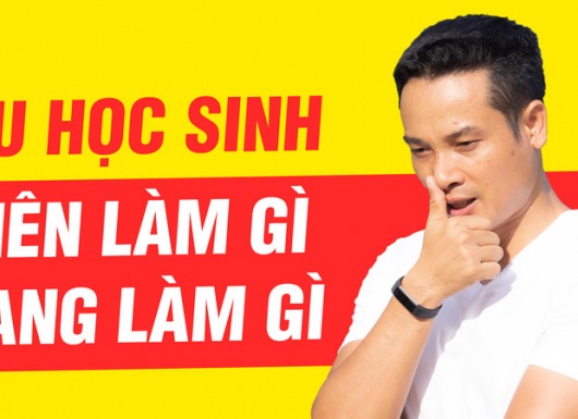 Du học sinh Việt Nam ở nước ngoài hiện làm gì? nên làm gì?