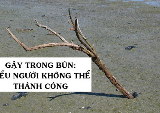 7 kiểu người KHÔNG BAO GIỜ thành công ở nơi làm việc, bạn có thuộc kiểu ‘cây gậy mắc kẹt trong bùn'?