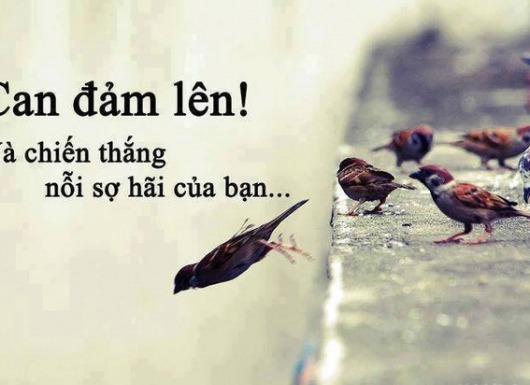 4 nỗi sợ bạn phải vượt qua trước khi chạm đến thành công: Điều thứ 4 mọi người thường cảm thấy "hối tiếc"